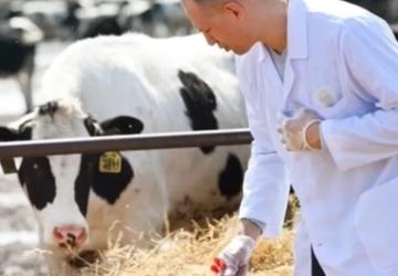 Tarımsal Girdi Enflasyonu Hız Kesmiyor: Nisan’da Yem ve Veterinerlik Öne Çıktı