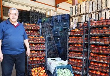 Alanya Toptancı Hali'nde sona yaklaşıldı