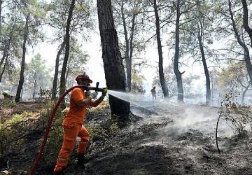 Hasat Mevsiminde Orman Yangını Alarmı