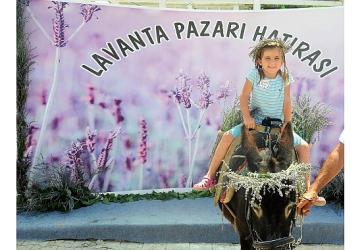 Mis Gibi Şenlik: Seferihisar'da Lavanta Büyüsü Başlıyor