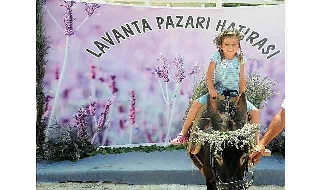 Mis Gibi Şenlik: Seferihisar'da Lavanta Büyüsü Başlıyor Mis Gibi Şenlik: Seferihisar'da Lavanta Büyüsü Başlıyor