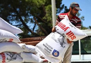 Antalya’da Yem Desteğiyle Süt Üretiminde Güçlü Artış