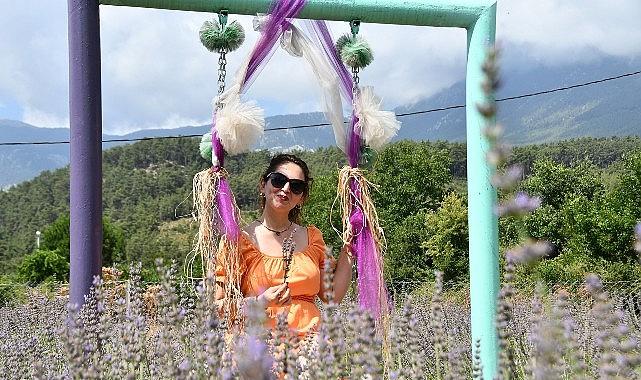 Kemer'de lavanta tanıtım etkinlikleri başlıyor