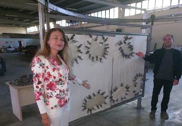 Kabak Kemane üretiminde yenilikçi yaklaşım