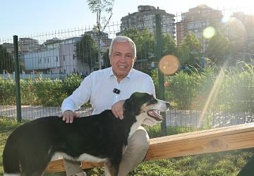 Nilüfer'de can dostlar yeni yuvalarına kavuştu