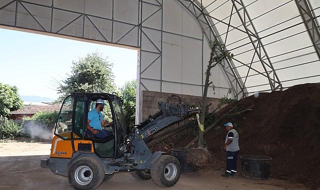 Sökülen ağaçlar geleceğe taşınıyor Sökülen ağaçlar geleceğe taşınıyor