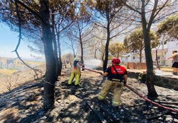 İzmir İtfaiyesi 48 saatte 227 yangına müdahale etti