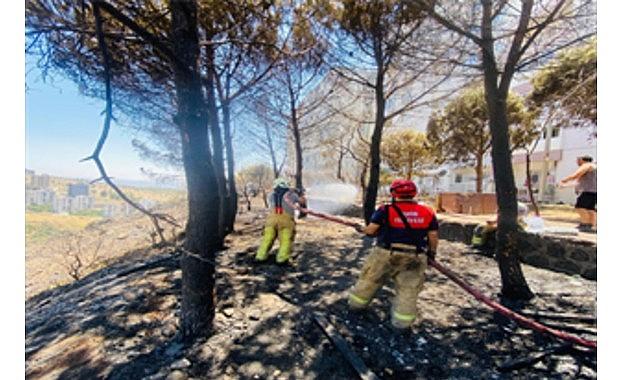 İzmir İtfaiyesi 48 saatte 227 yangına müdahale etti İzmir İtfaiyesi 48 saatte 227 yangına müdahale etti