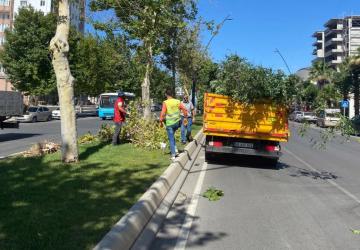 Büyükşehir, Fırtına Sonrası Yaraları Sarıyor