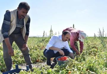 2026 Yılı Konya Fidan ve Fide Destekleri İçin Başvurular Açıldı