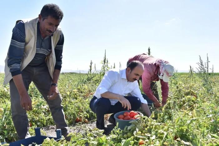 2026 Yılı Konya Fidan ve Fide Destekleri İçin Başvurular Açıldı 2026 Yılı Konya Fidan ve Fide Destekleri İçin Başvurular Açıldı