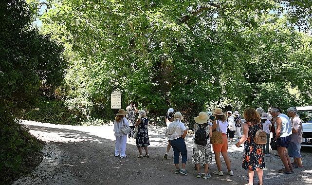 Kemer'de “Mor turizm" başladı
