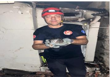Büyükşehir yangın bölgelerindeki tüm canlıların yardımına koştu