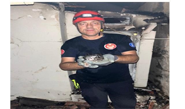 Büyükşehir yangın bölgelerindeki tüm canlıların yardımına koştu Büyükşehir yangın bölgelerindeki tüm canlıların yardımına koştu