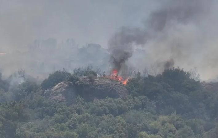 3 Günde 10 Bin Hektar Orman Kül Oldu 3 Günde 10 Bin Hektar Orman Kül Oldu