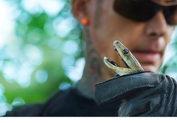 'Şehirdeki Yılanlar: Zehrin Ötesi', 11 Temmuz Cuma 20.00'de National Geographic WILD Ekranlarında!