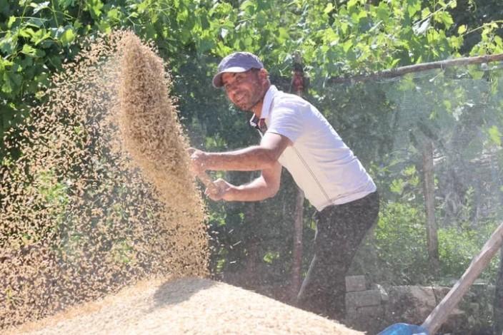 Tarımda Antalya’ya Destek, Kazanç Getirdi Tarımda Antalya’ya Destek, Kazanç Getirdi