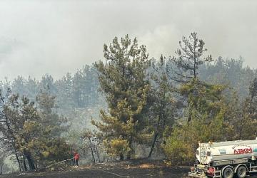 Büyükşehir'den Bursa'daki yangına tam destek