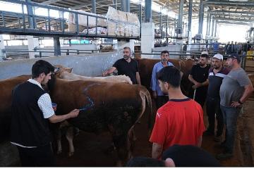 Hayvan Pazarları İkinci Bir Emre Kadar Kapatıldı
