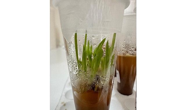 Nejdet Bozkurt, “Proje ile endemik Likya salebini koruyarak, neslinin devam etmesini sağlayacağız" Nejdet Bozkurt, “Proje ile endemik Likya salebini koruyarak, neslinin devam etmesini sağlayacağız"