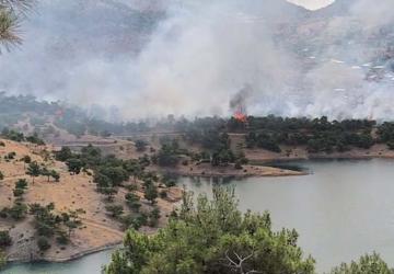 Adıyaman’da orman alanda korkutan yangın - Videolu Haber