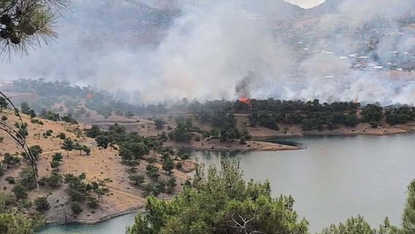Adıyaman’da orman alanda korkutan yangın - Videolu Haber Adıyaman’da orman alanda korkutan yangın - Videolu Haber