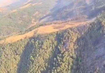 Uşak ve Bilecik’te Yangınlar Kontrol Altında, Sakarya Geyve’de Mücadele Devam Ediyor