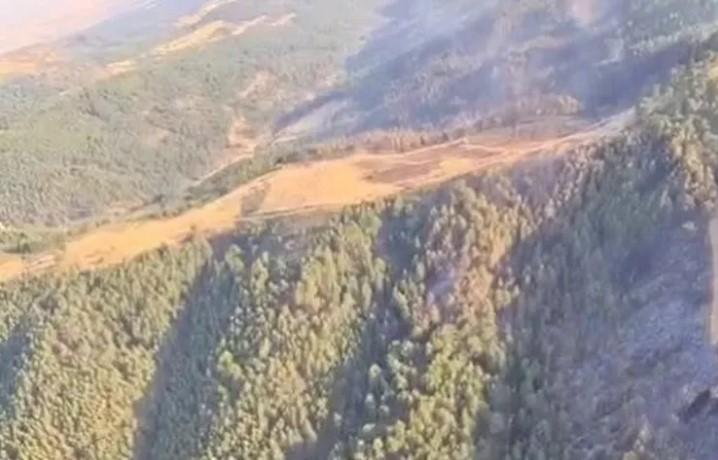 Uşak ve Bilecik’te Yangınlar Kontrol Altında, Sakarya Geyve’de Mücadele Devam Ediyor