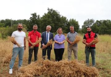 İzmit Belediyesi İlk Nohut Hasadını Gerçekleştirdi