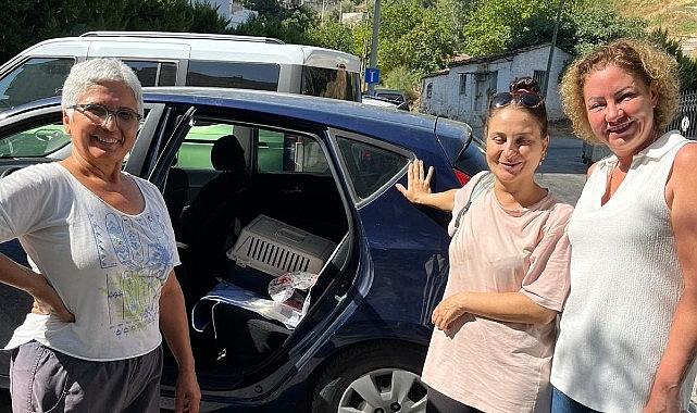 Narlıdere Belediyesi'nden minik dostlar için seferberlik