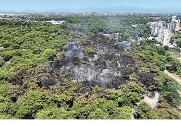 Antalya Büyükşehir Belediyesi İtfaiyesi alevlerle mücadelesini sürdürüyor