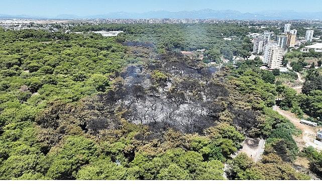 Antalya Büyükşehir Belediyesi İtfaiyesi alevlerle mücadelesini sürdürüyor Antalya Büyükşehir Belediyesi İtfaiyesi alevlerle mücadelesini sürdürüyor