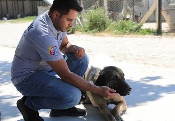 Efes Selçuk'ta “Satın Alma Sahiplen" Çağrısı