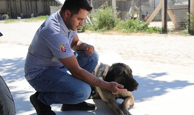 Efes Selçuk'ta “Satın Alma Sahiplen" Çağrısı