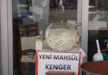 Doğal şifa kaynağı: Kenger sakızı yoğun ilgi görüyor - Videolu Haber