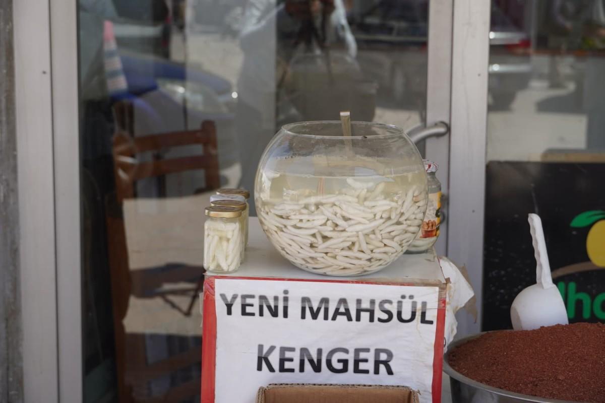 Doğal şifa kaynağı: Kenger sakızı yoğun ilgi görüyor - Videolu Haber Doğal şifa kaynağı: Kenger sakızı yoğun ilgi görüyor - Videolu Haber