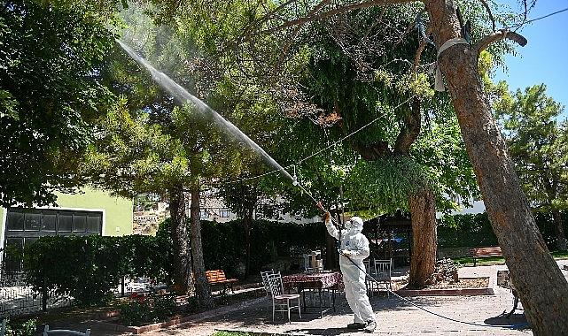 Selçuklu Belediyesi yeşil alan ilaçlamalarını dış mahallelerde de sürdürüyor