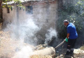 Antalya'nın tüm ilçelerinde haşereyle mücadele sürüyor