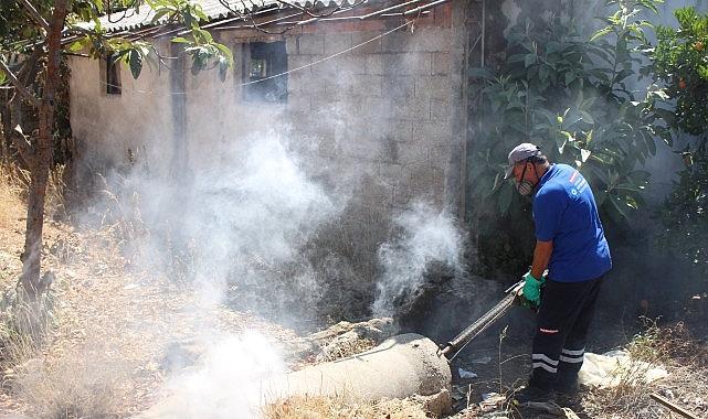 Antalya'nın tüm ilçelerinde haşereyle mücadele sürüyor Antalya'nın tüm ilçelerinde haşereyle mücadele sürüyor