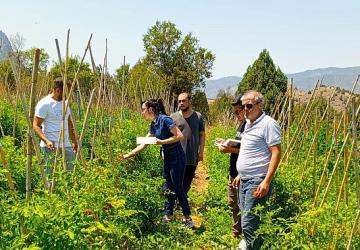 Çankaya Belediyesi'nden organik pazar denetimleri