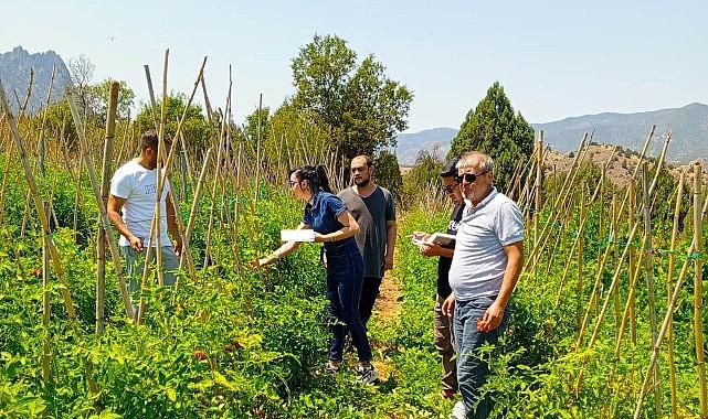 Çankaya Belediyesi'nden organik pazar denetimleri