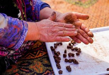 İnci GS Yuasa Akü'den doğaya 100.000 tohumluk katkı!