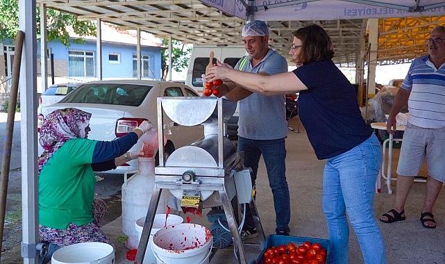 Ayvalık'ta Salça Zamanı Başlıyor! Ayvalık'ta Salça Zamanı Başlıyor!