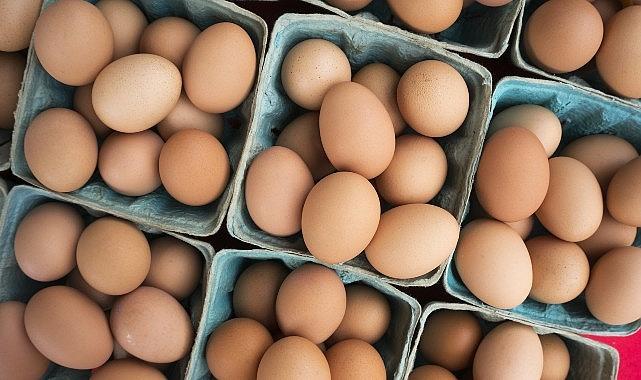 DFİF kesintisi kalktı, yumurta ihracatçısı rahatladı DFİF kesintisi kalktı, yumurta ihracatçısı rahatladı