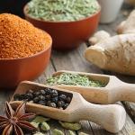 WorldFood İstanbul Fuarı'na 25 firmayla çıkarma yapacaklar