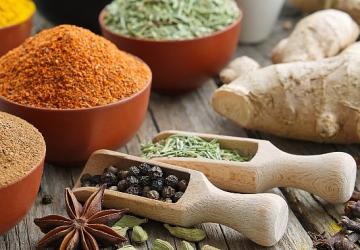 WorldFood İstanbul Fuarı'na 25 firmayla çıkarma yapacaklar