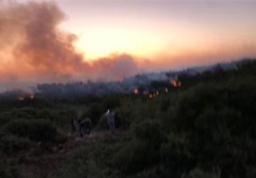 Urla'da yangın kontrol altına alındı