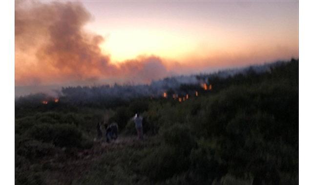 Urla'da yangın kontrol altına alındı