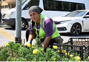 Başkan Çerçioğlu'ndan Didim'de çevre ve peyzaj düzenlemesi