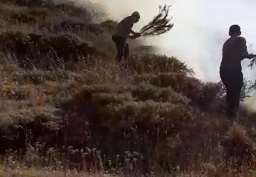Adıyaman Koçali Köyü'nde orman yangını helikopter desteğiyle söndürüldü - Videolu Haber